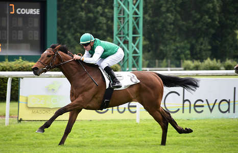 Actualités Hippiques